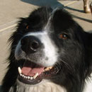 Chex was adopted in August, 2007